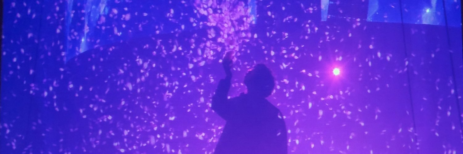 💚💜なおみん💛💚 banner
