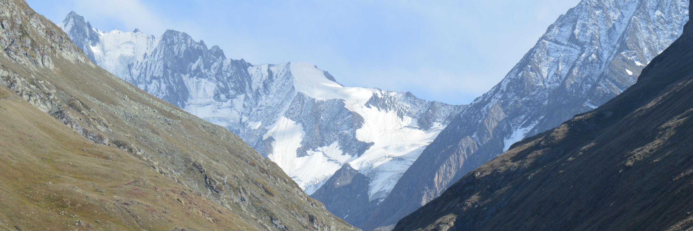 Anuradha Singh banner