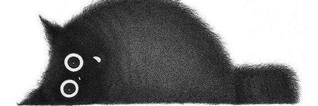 Dr__Nemo's profile banner image