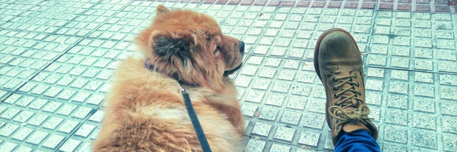 SnchezBruno's profile banner image