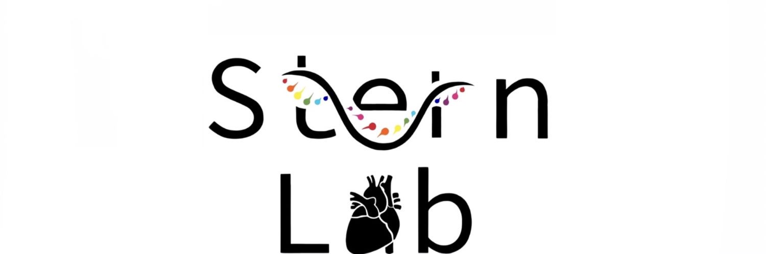 Joshua Stern's banner
