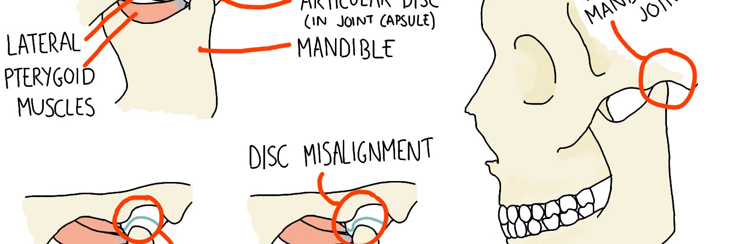 Freya Gilmore banner