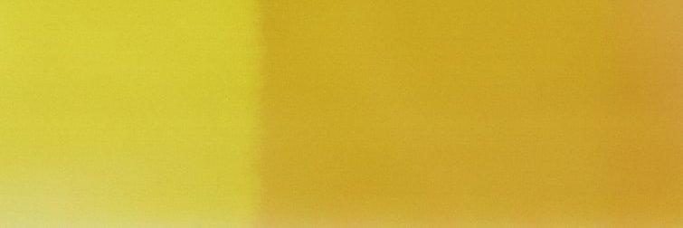 noedost's profile banner image