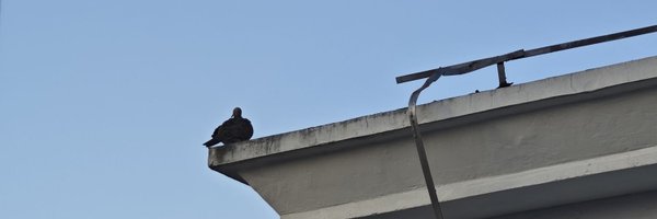 stevenx1ee Profile Banner