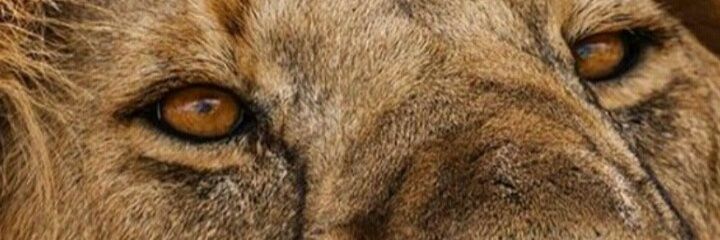 AndersonJVG's profile banner image