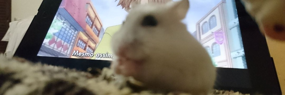 たまご兄さん's banner