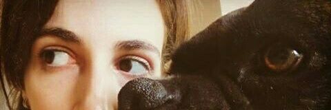 PauMC's profile banner image