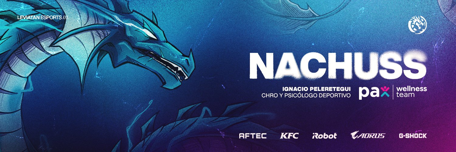 Ignacio Peleretegui banner