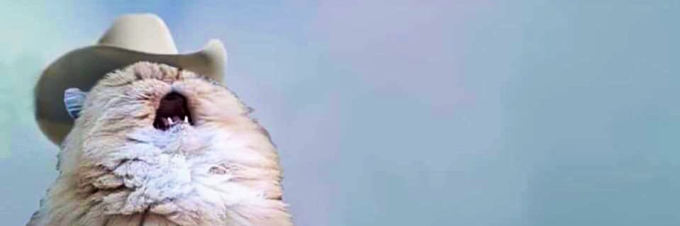 ksyloves's profile banner image