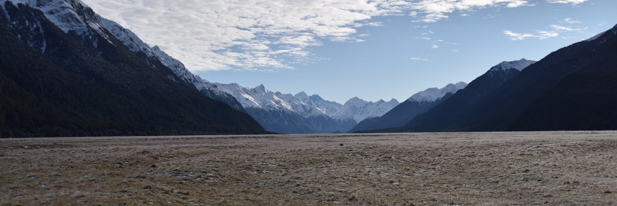 Clémence Rombauts banner