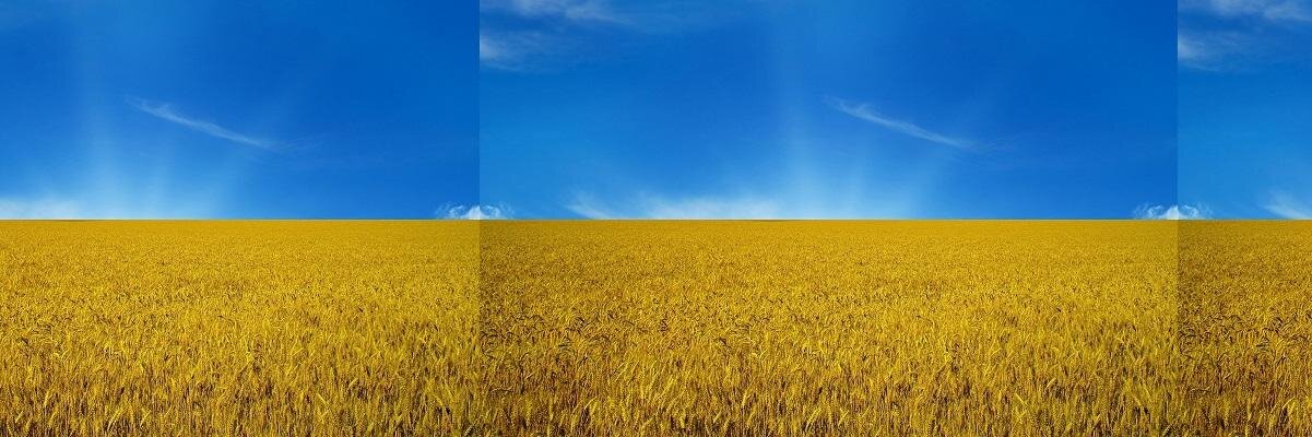SEOTOPNEWS's profile banner image