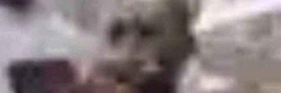 LimJusten's profile banner image