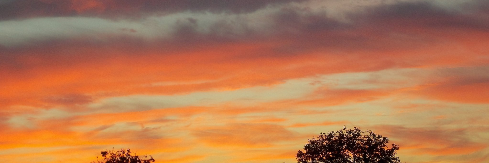 Stanisław Sakowicz 🚜🇵🇱 banner