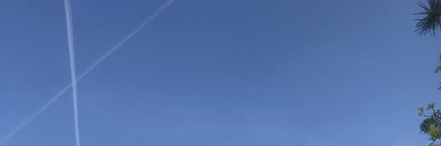 našli me u kupusu banner