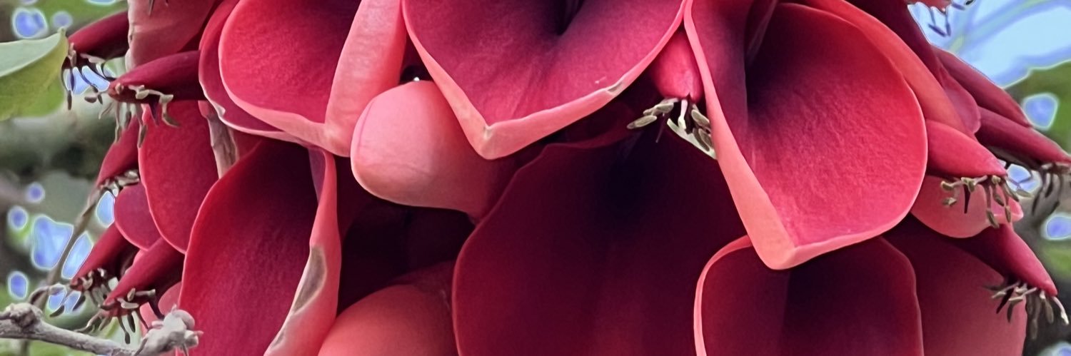 gonzalezv2016's profile banner image