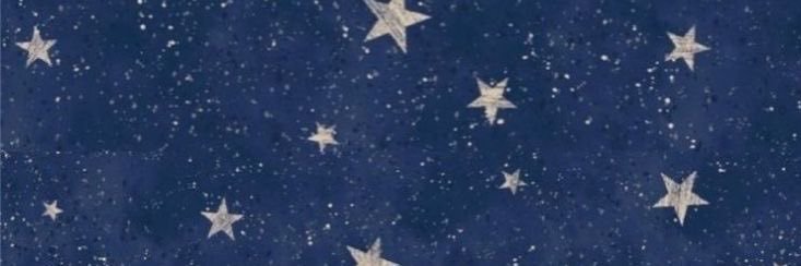 paulek🐭 banner