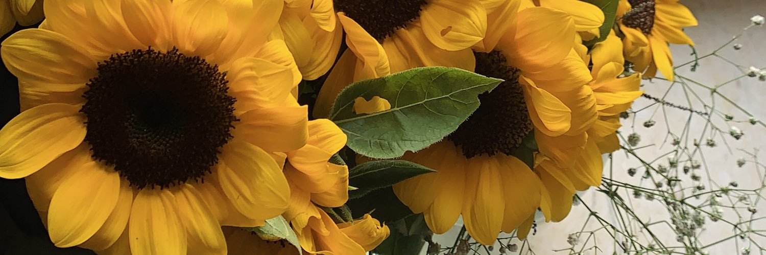 chetnaparekh's profile banner image
