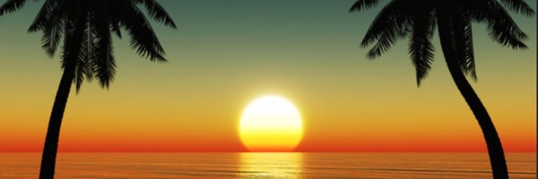 247965326's profile banner image