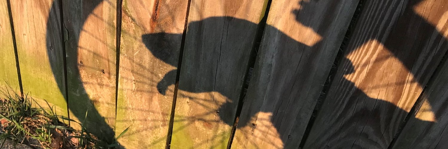 AlisinFfx's profile banner image