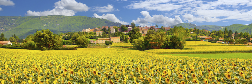 FrenchEntrée banner