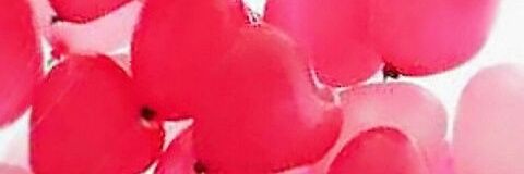 f12023044491's profile banner image