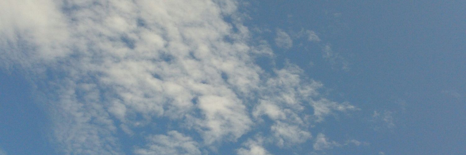 reko_rs's profile banner image