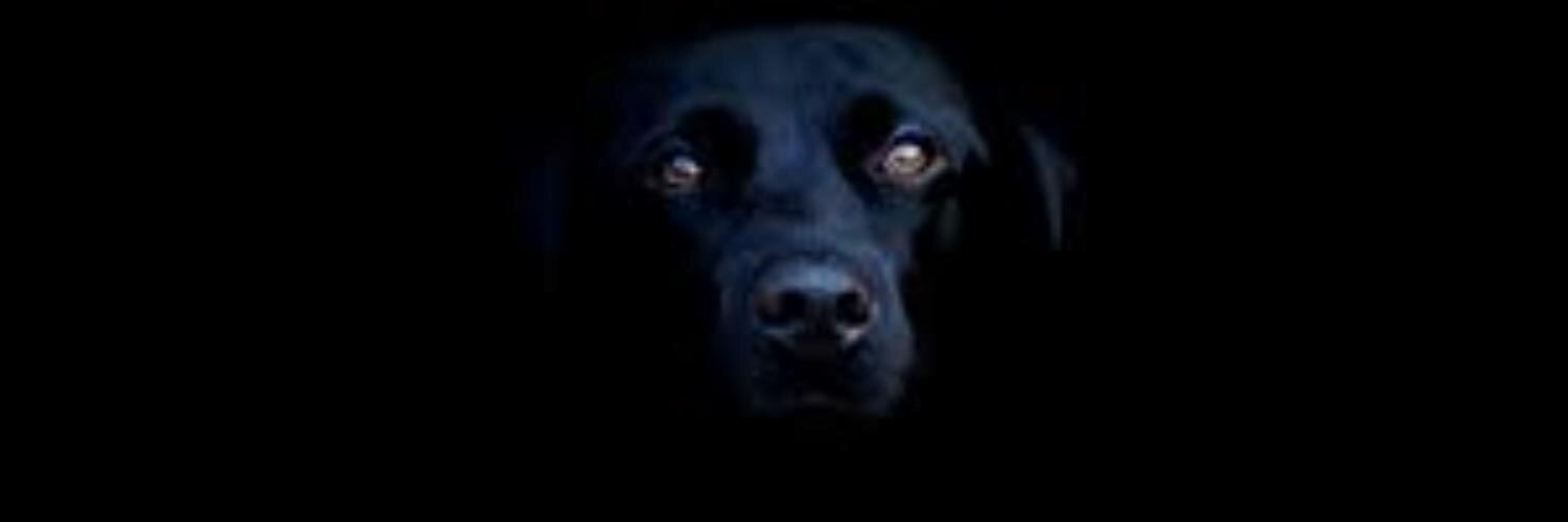 Rodrigoinfanteu's profile banner image