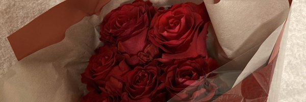 n0r1n0r153 Profile Banner