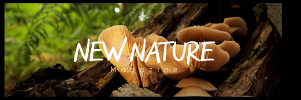 NewNature_Mag Profile Banner