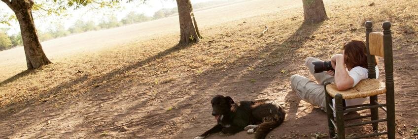 ChrisSiegert's profile banner image