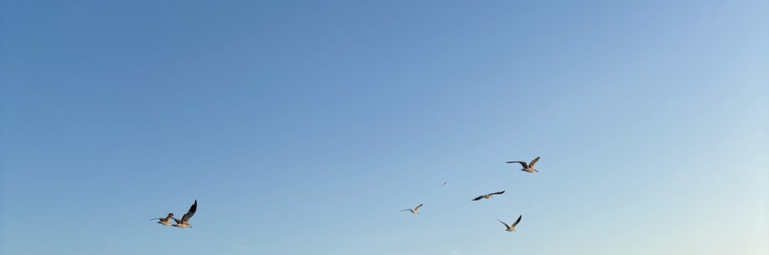 Graciede_'s profile banner image