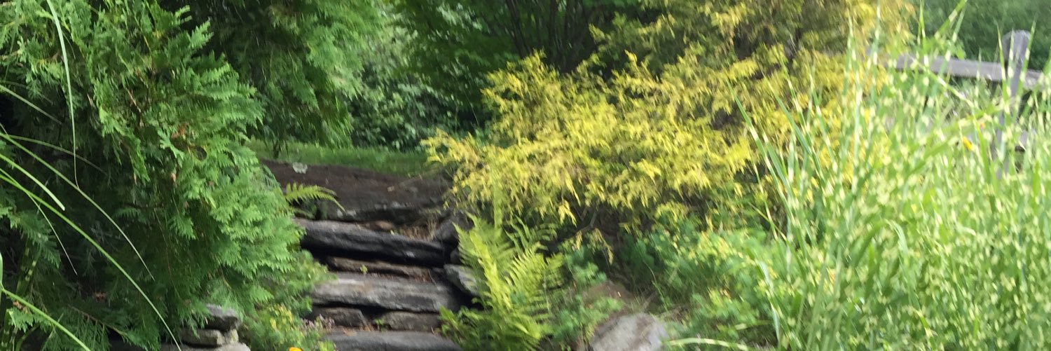 grammyisabel's profile banner image