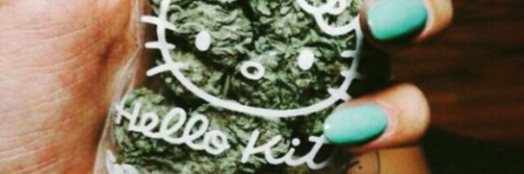 AnemiMartinez's profile banner image