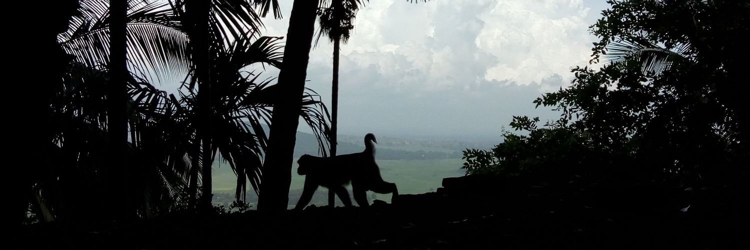 Debi Prasad Acharya banner