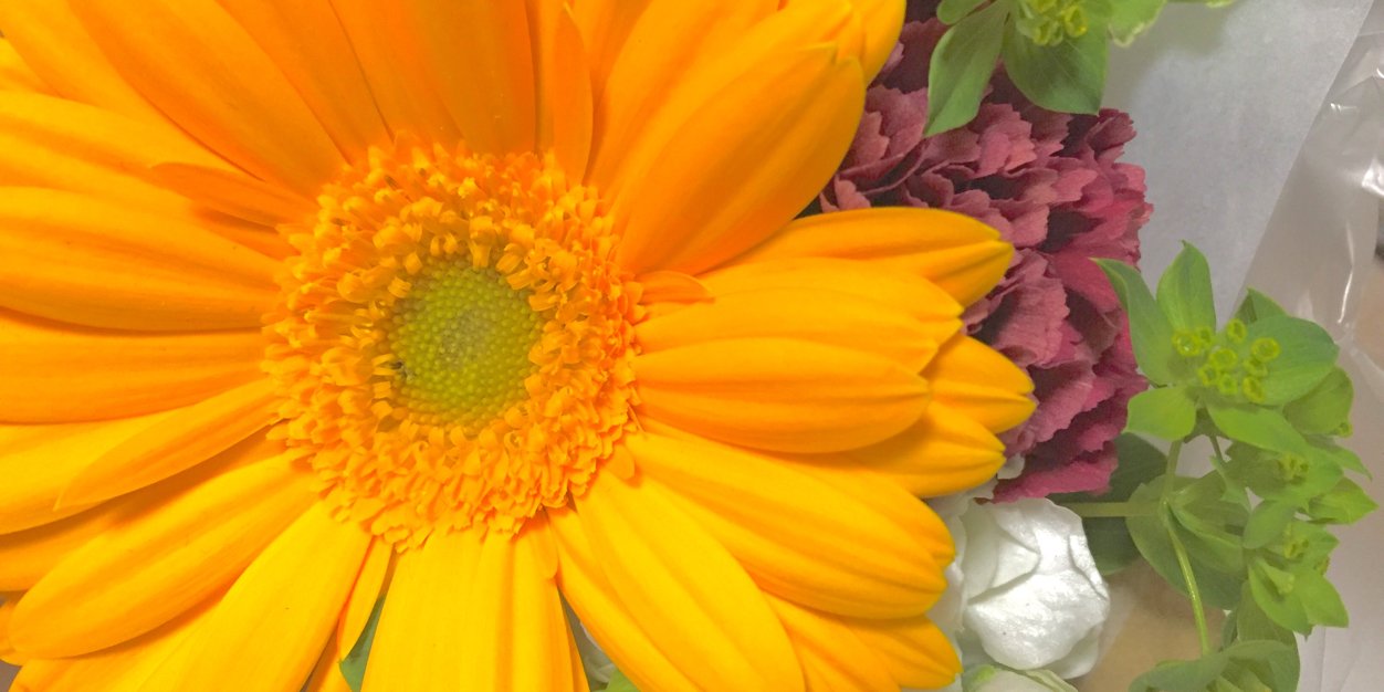 tototogy's profile banner image