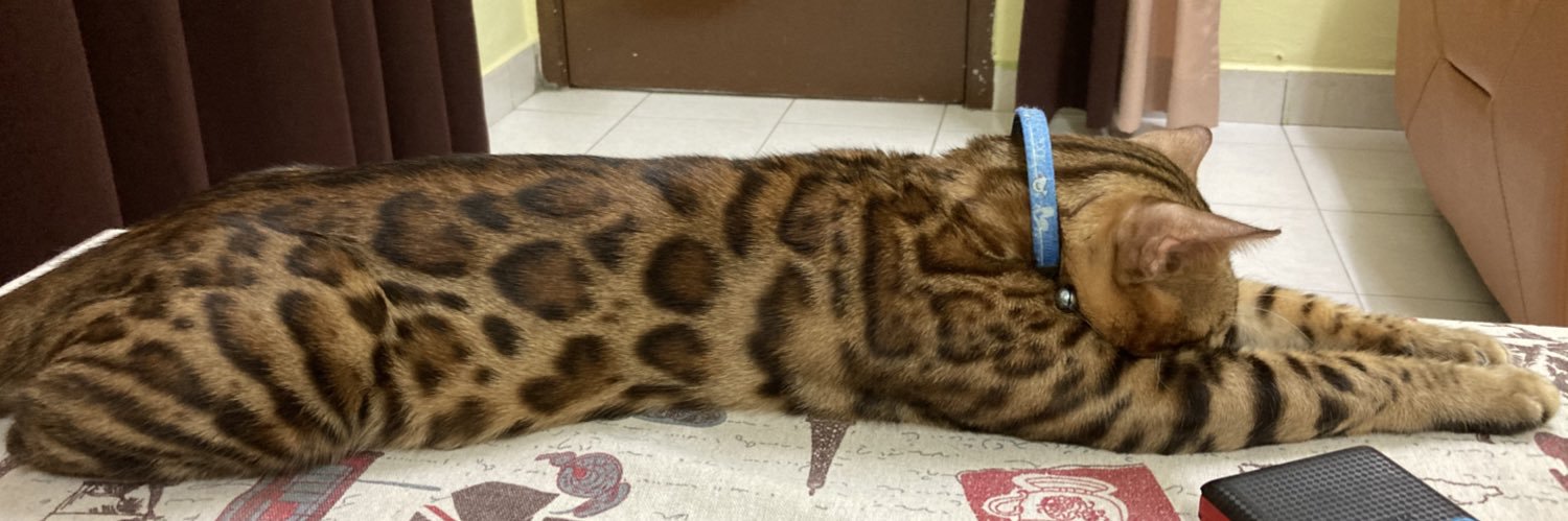 meowDC's profile banner image