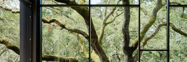 OConnor_Global Profile Banner