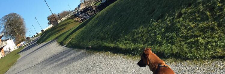 ChloeMacIntyre9's profile banner image
