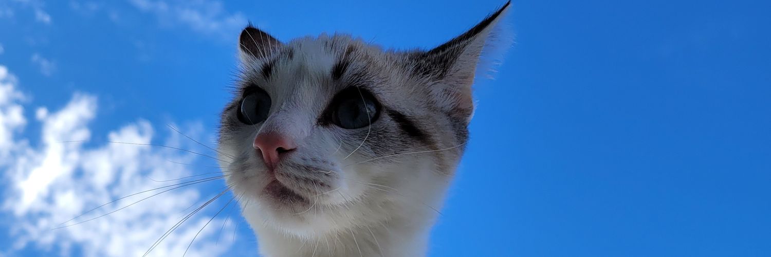 AntoChunflin's profile banner image