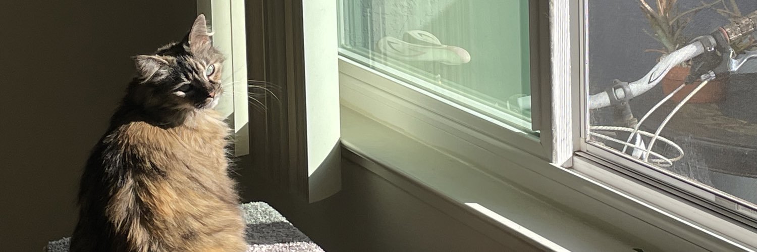 Death Becomes Her fan banner