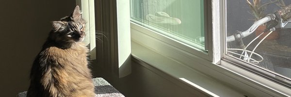 IssueFortyFive Profile Banner