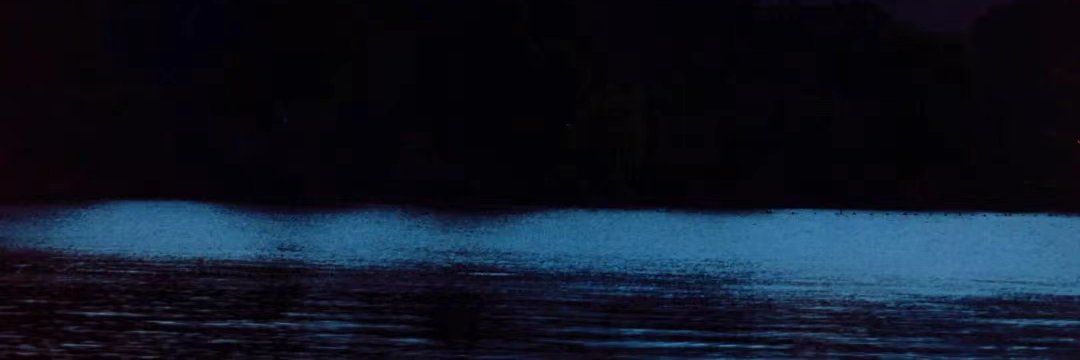 SeandcsHodge's profile banner image