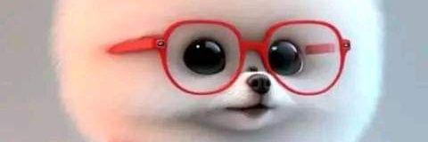 LenzKolil's profile banner image