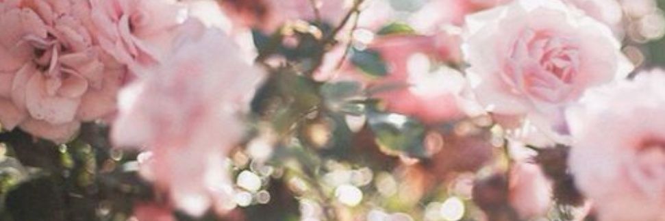 asforey's profile banner image