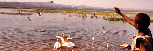 Athenaweb33 Profile Banner