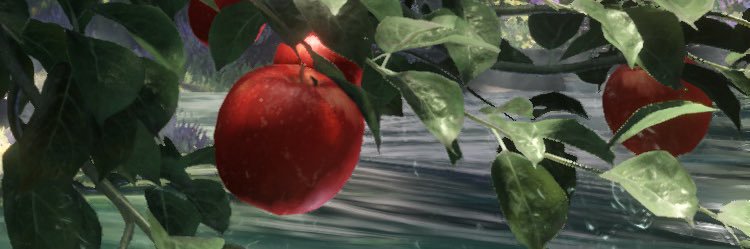 🍏ポコタ🍎 banner