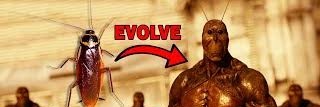 AlperCrane's profile banner image