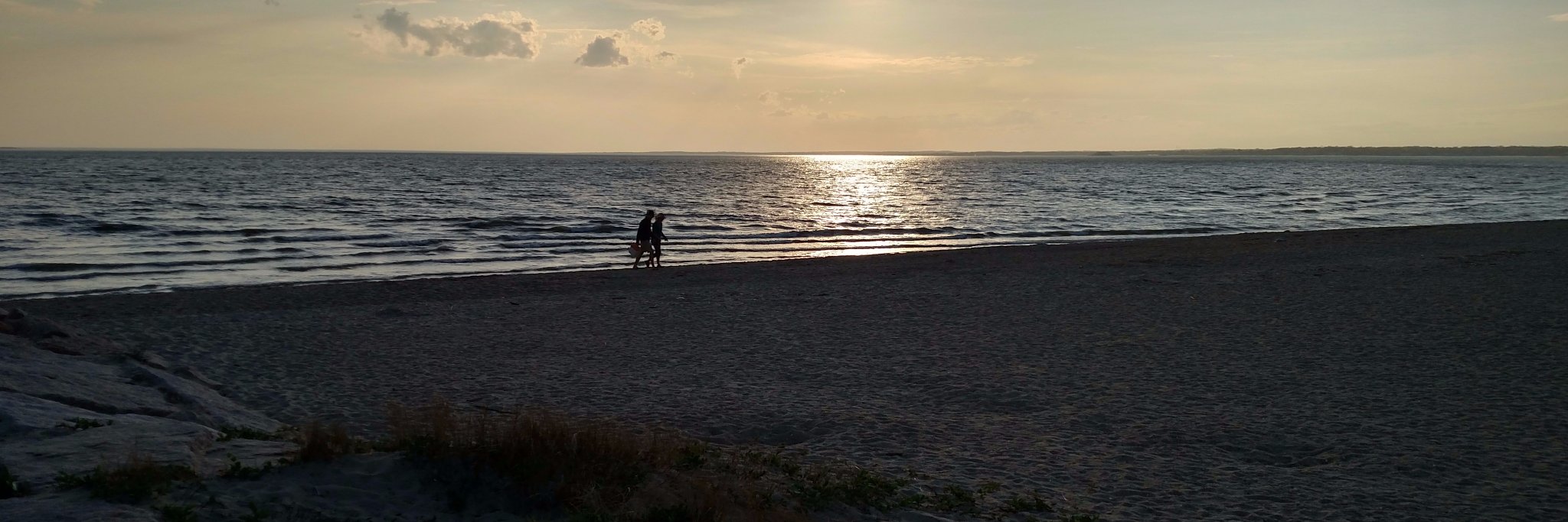 ConnecticutAMC banner