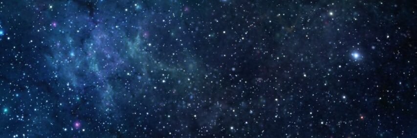 selinicity's profile banner image