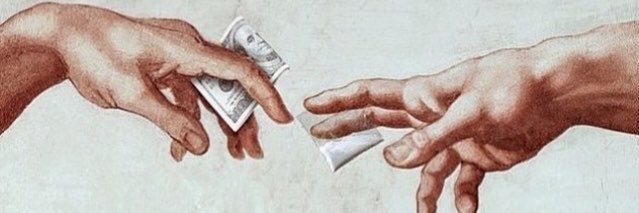 Daucus Carota 🥕 banner